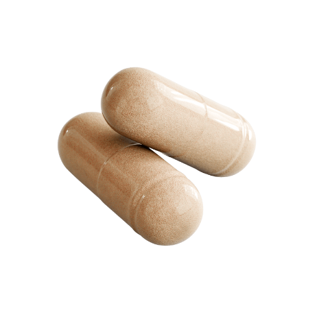 Mushroom Complex 10 X